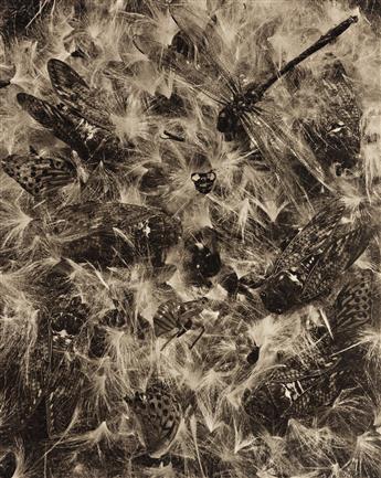(TICE, ITURBIDE, HOSOE, TRESS, GOWIN, et alia) A portfolio with 16 collotypes entitled Time, published to accompany an exhibition at Fo
